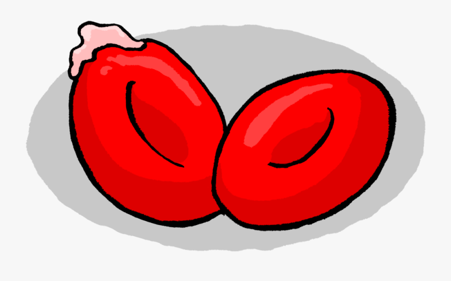 Globulo Pk - Deficiencia De Piruvato Quinasa, Transparent Clipart