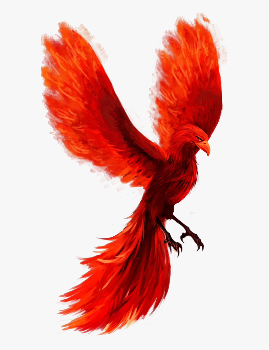 #scphoenix #phoenix #fire #flame #ashes #bird #fly - Phoenix Bird No Background, Transparent Clipart