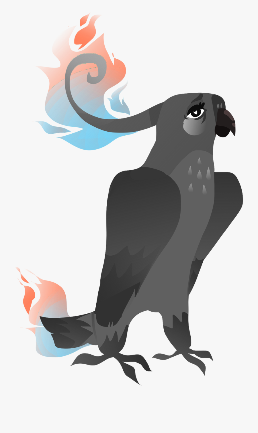 Cockatoo, Transparent Clipart