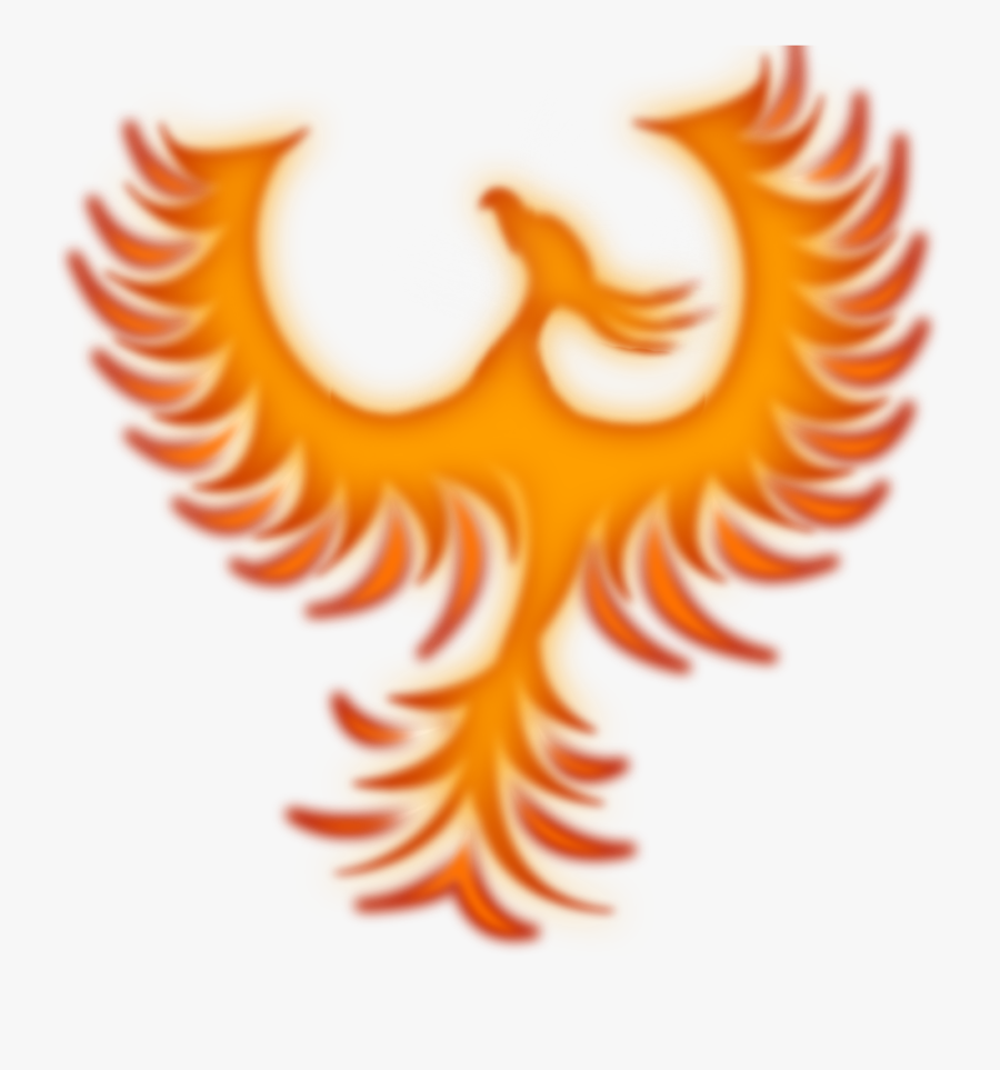 Accipitridae, Transparent Clipart