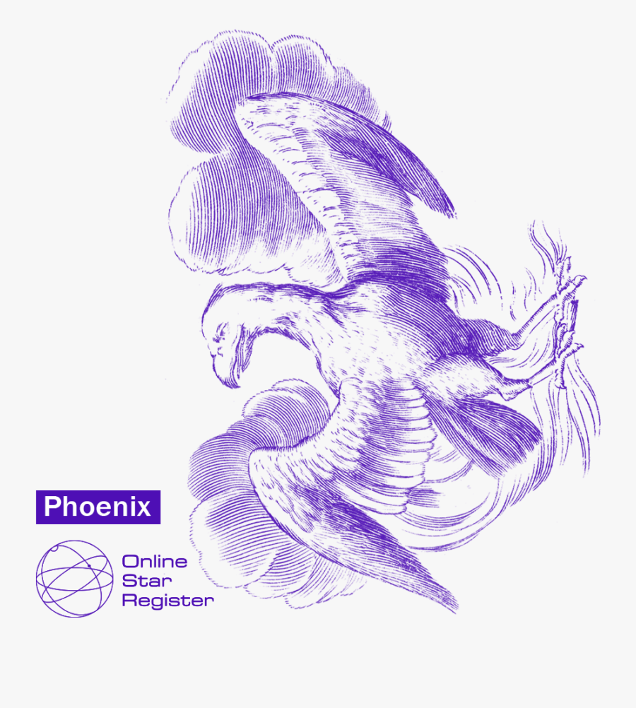 Sketch, Transparent Clipart