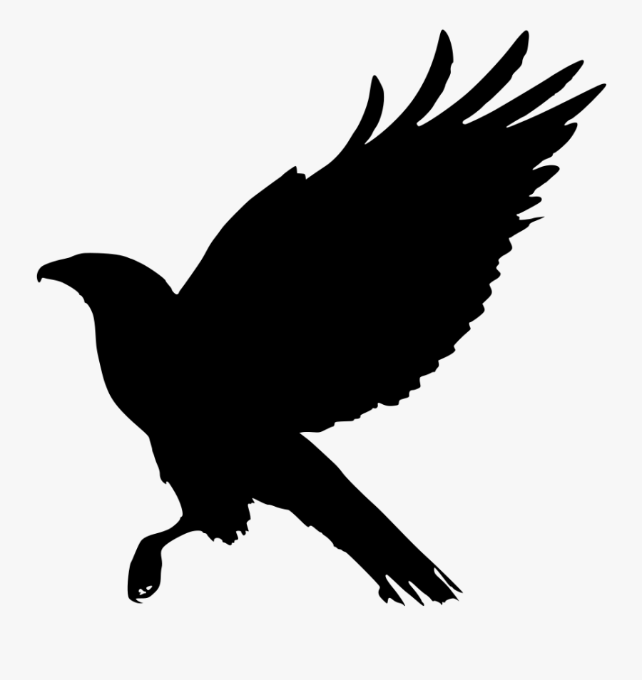 Clip Art Adorable Hawk Clipart Jpg - Red Tailed Hawk Transparent, Transparent Clipart