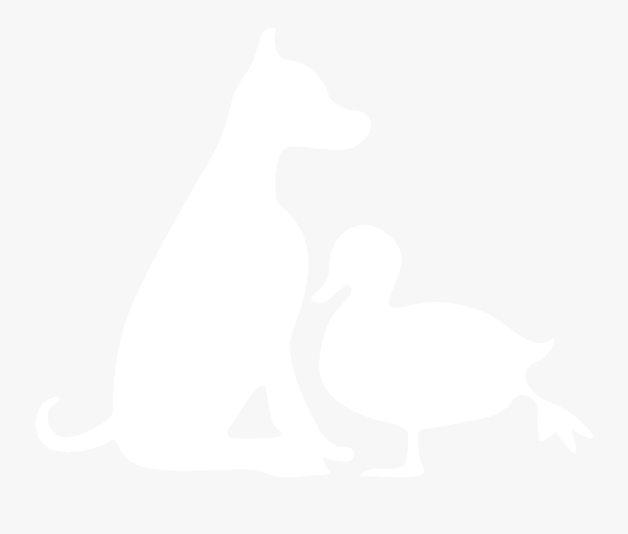 Clip Art Image Of A Duck - Duck, Transparent Clipart