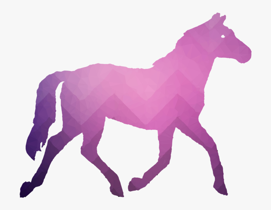 Silhouette, Illustration, Horse, Transparent Png Image - Cart Before The Horse Gif, Transparent Clipart