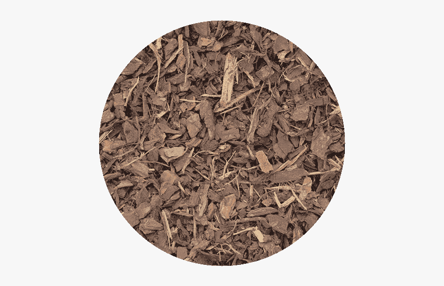 7 Mm Pine Bark - Wood, Transparent Clipart