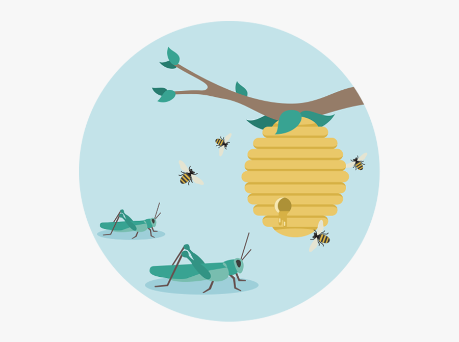 Circle, Transparent Clipart