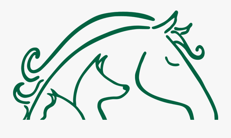 Roy And Cher's Rescue, Transparent Clipart