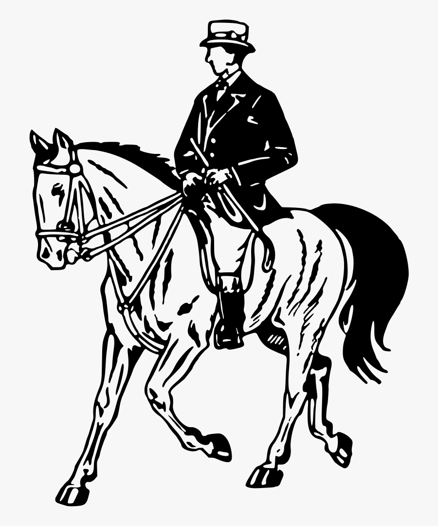 Horse And Rider - Clipart Of Horse Riding, Transparent Clipart