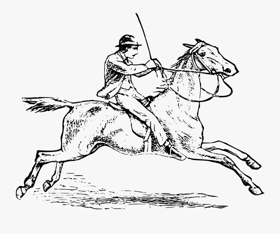 Horse Riding - Horse, Transparent Clipart