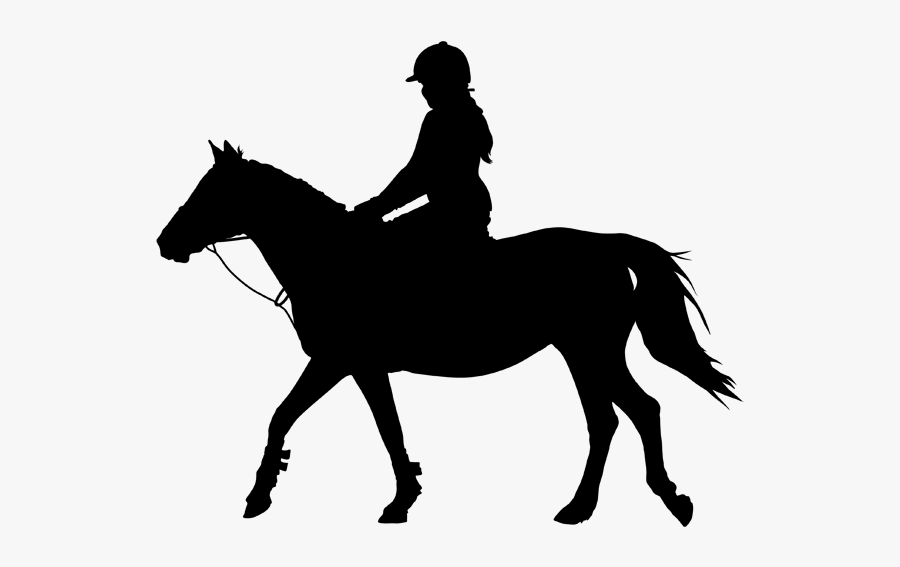 Horse&rider Equestrian Silhouette Clip Art - Horse And Rider Silhouette, Transparent Clipart