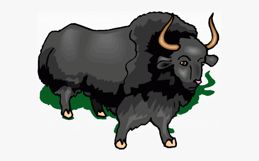 Muskox Clipart Buffalo - Bull, Transparent Clipart