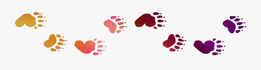 Transparent Background Bear Tracks Png - Black Bear Track Png, Transparent Clipart