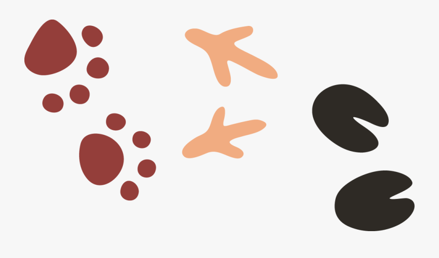 Circle, Transparent Clipart