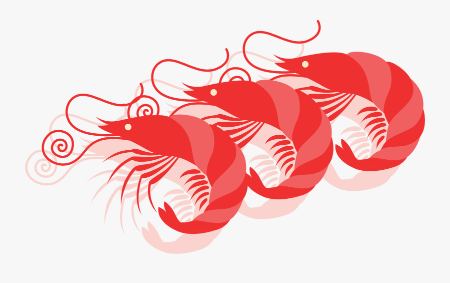 Red Prawns Of Vatulele, Transparent Clipart