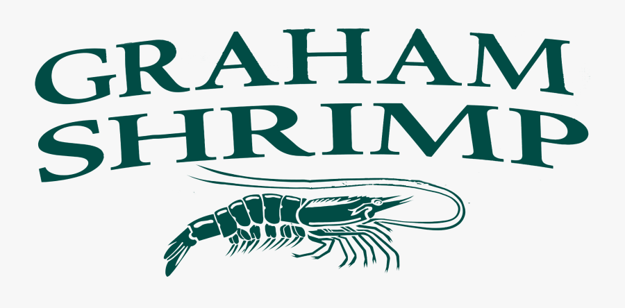 Shrimp, Transparent Clipart