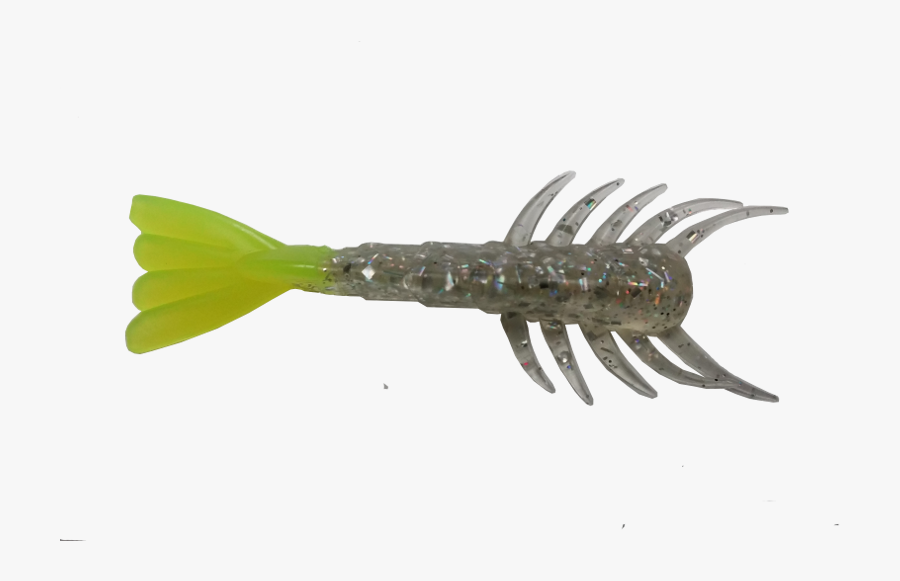 Transparent Shrimp Clipart - Shrimp, Transparent Clipart