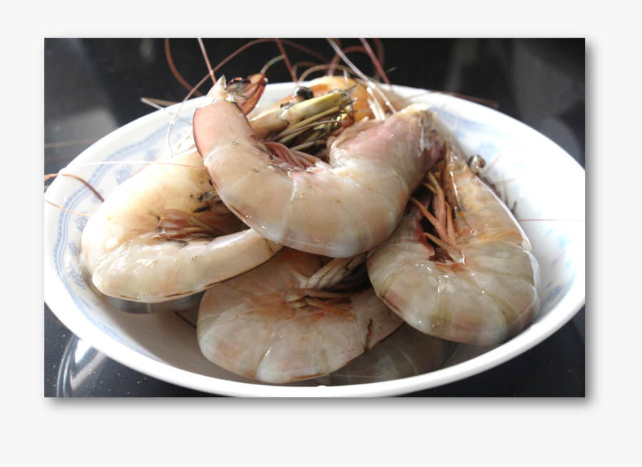 Botan Shrimp, Transparent Clipart