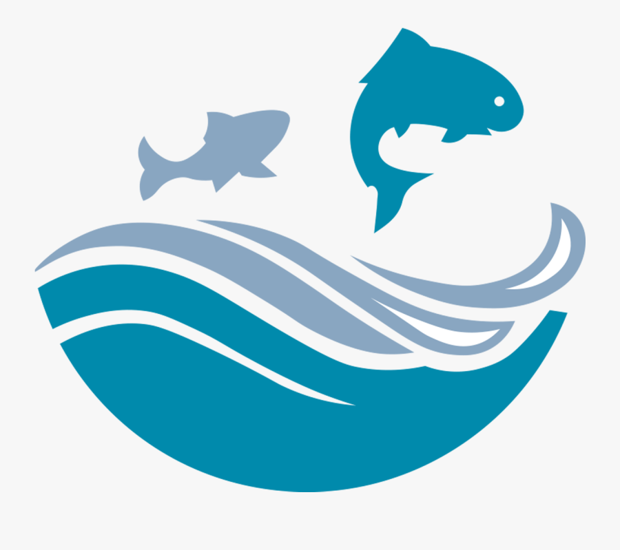 Shark, Transparent Clipart