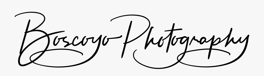 Photography Clipart , Png Download - Calligraphy, Transparent Clipart