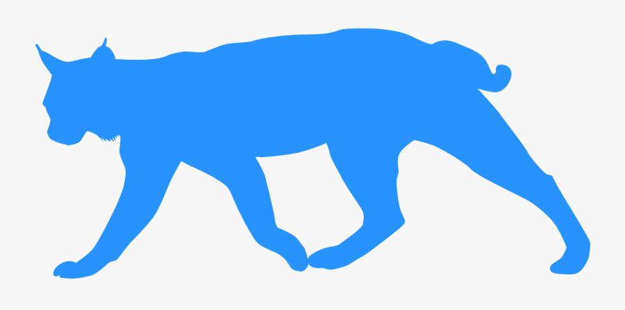 Silueta De Gato Montes, Transparent Clipart