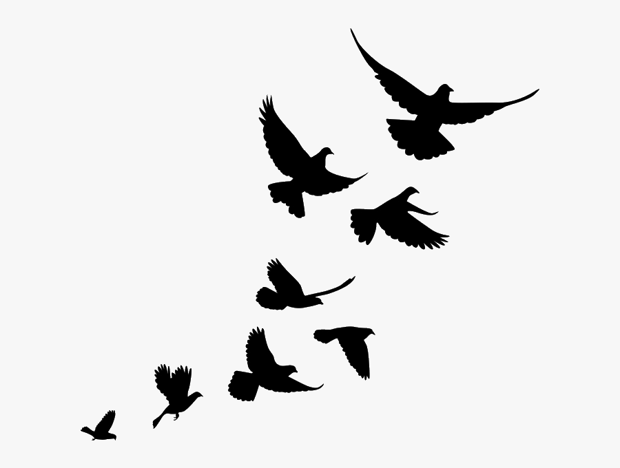 Jiminey Kricket Exterminating Pigeons - Flying Bird Flock Silhouette, Transparent Clipart