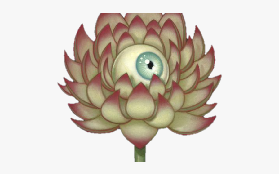 Echeveria, Transparent Clipart