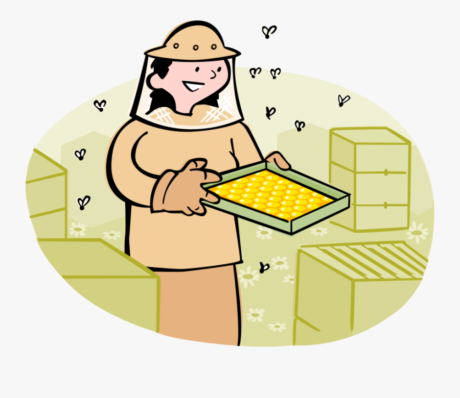 Vector Illustration Of Beekeeper Apiarist Keeps Honeybee - Beekeeper Collecting Honey Clipart, Transparent Clipart