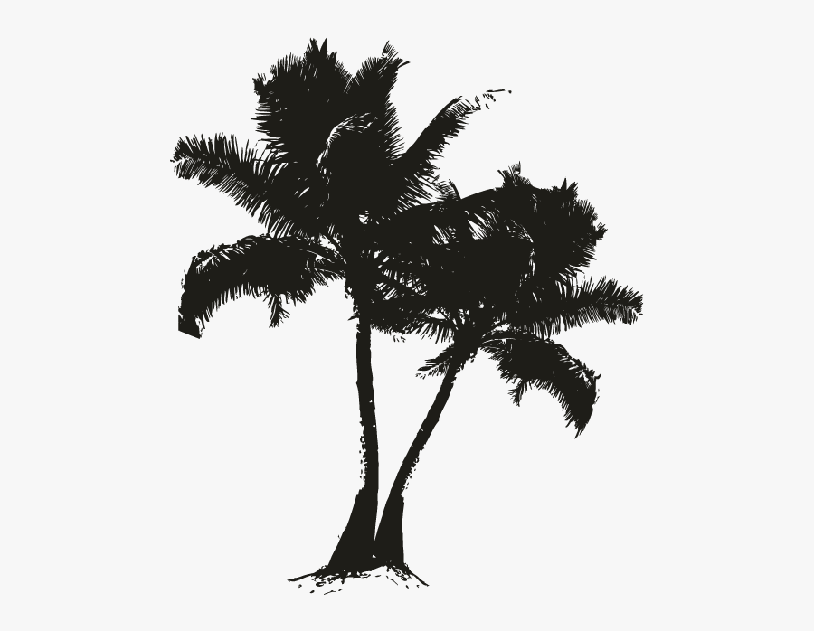 Asian Palmyra Palm Date Palm Black Silhouette White - Paurotis Palm, Transparent Clipart