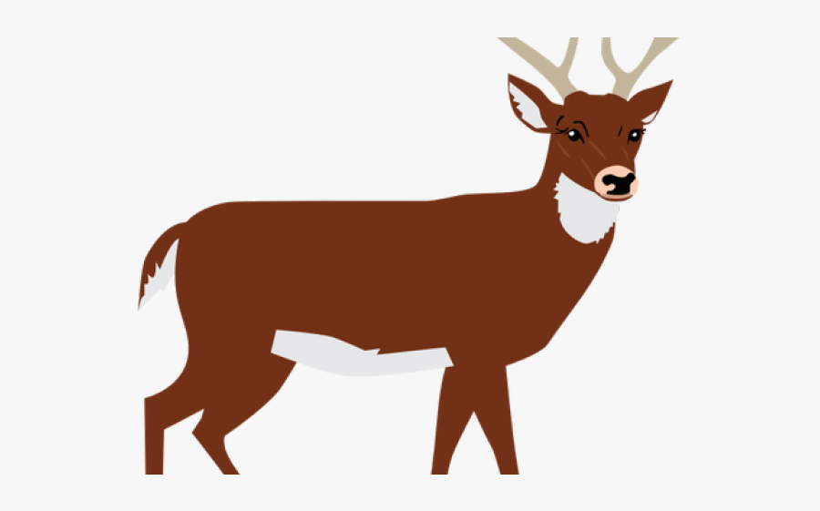 Deer Clipart Png, Transparent Clipart