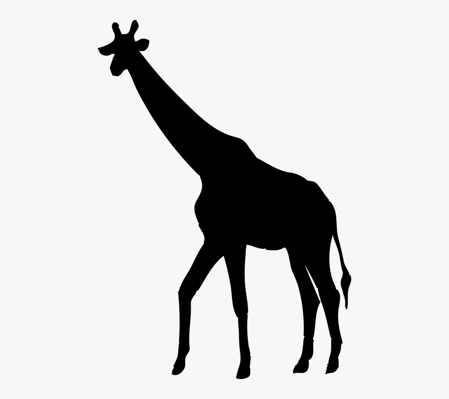 Giraffe Animal The Silhouette - Giraffe Png Black And White, Transparent Clipart