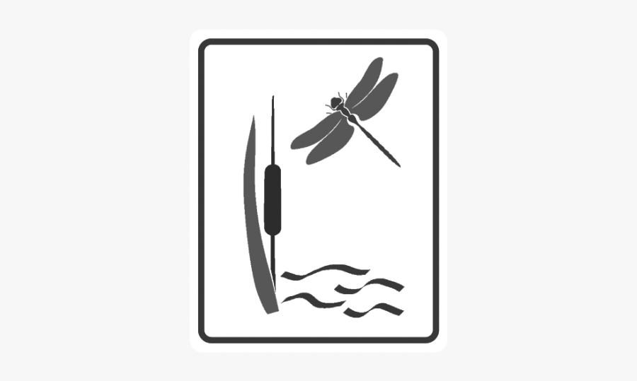 Dragonfly, Transparent Clipart