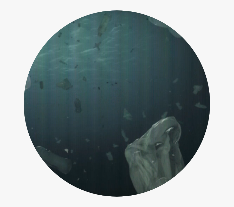 Circle, Transparent Clipart