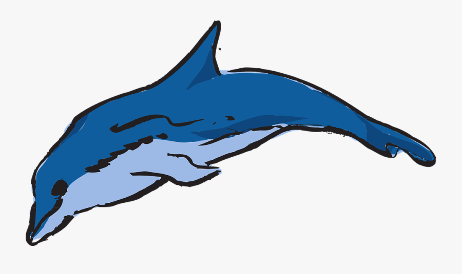 Dolphin, Ocean, Leaping, Creature, Marine, Life, Sea - Apa Warna Lumba Lumba, Transparent Clipart