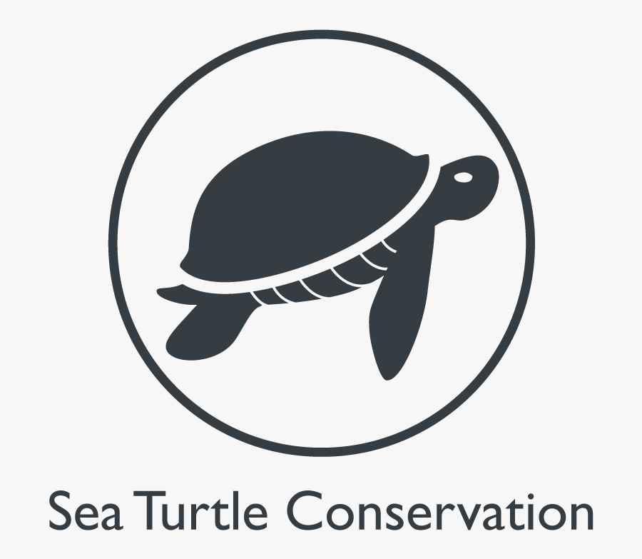 10 Years, Transparent Clipart