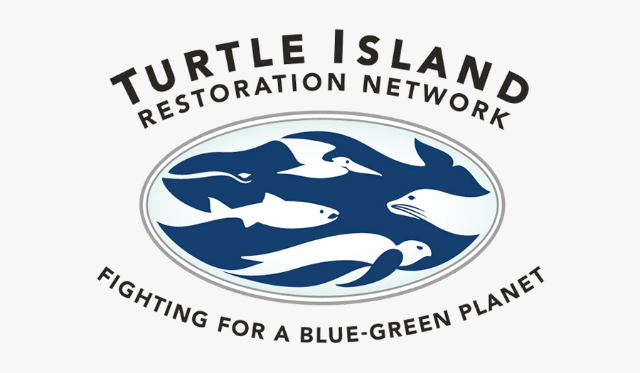 Turtle Island Restoration Network Logo - Common Dolphins, Transparent Clipart