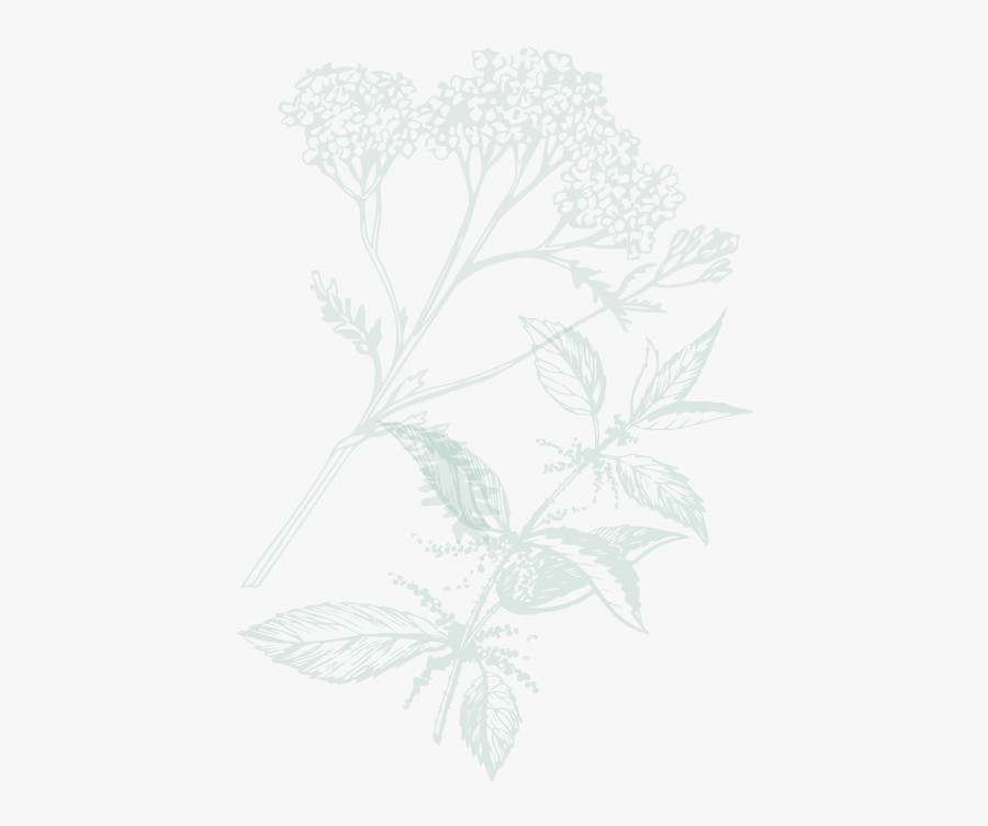 Drawing, Transparent Clipart