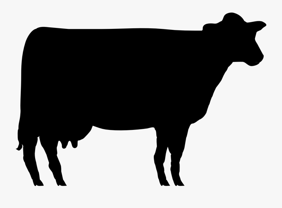 Shorthorn Angus Cattle Beef Cattle Hereford Cattle - Clip Art Red Cow, Transparent Clipart