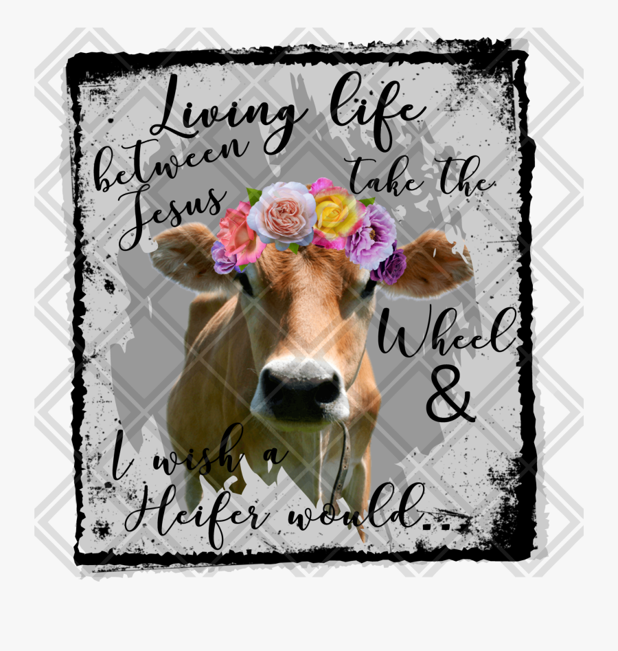 Heifer Clip Art, Transparent Clipart