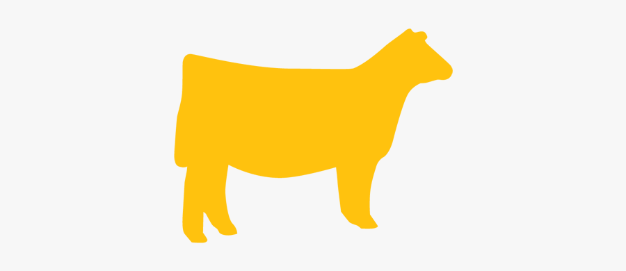 Beef Facts, Transparent Clipart