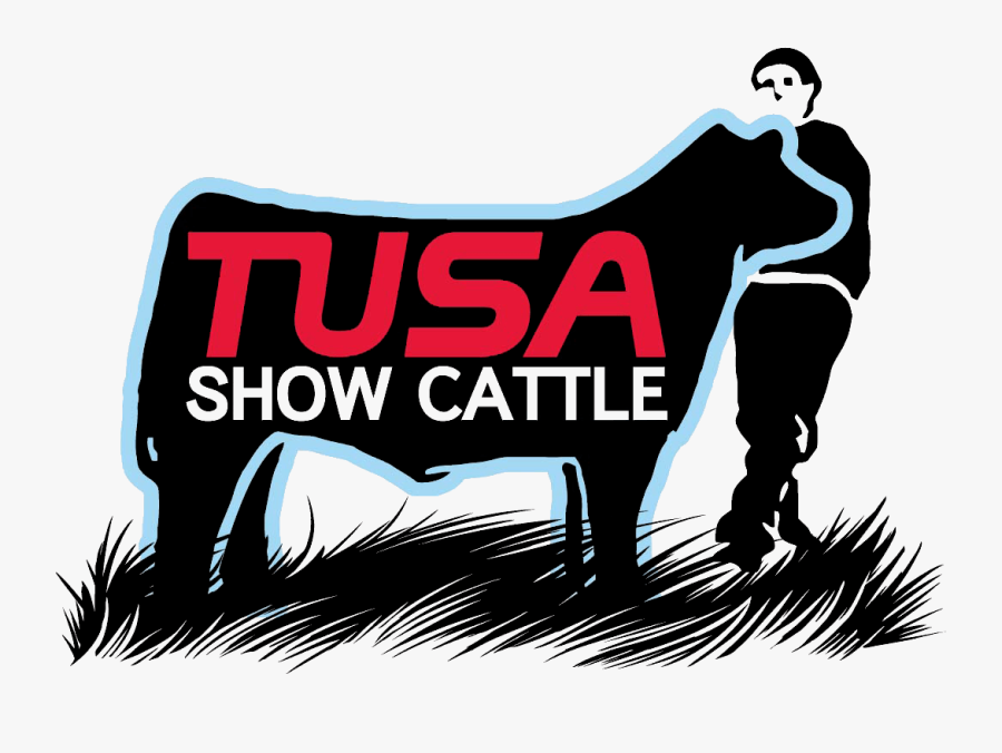 Image - Tusa Show Cattle, Transparent Clipart