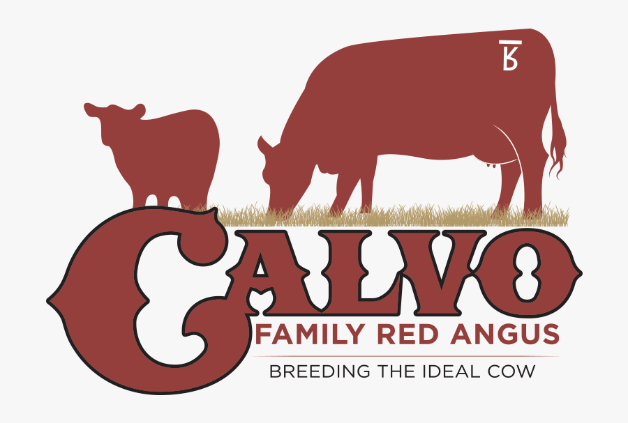 Image - Cartoon, Transparent Clipart