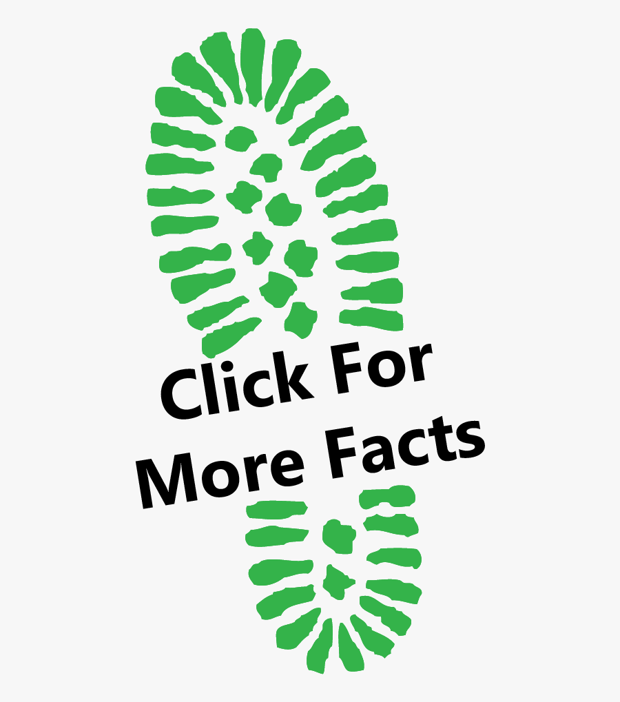 Transparent Cockroaches Png - Transparent Boot Print, Transparent Clipart