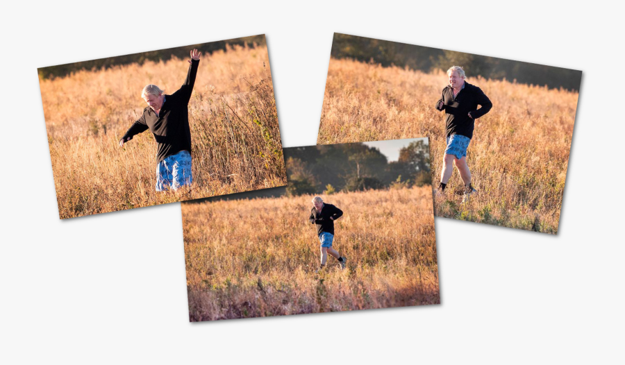 Naughty Boris Runs Through Field Of Wheat - Photograph, Transparent Clipart