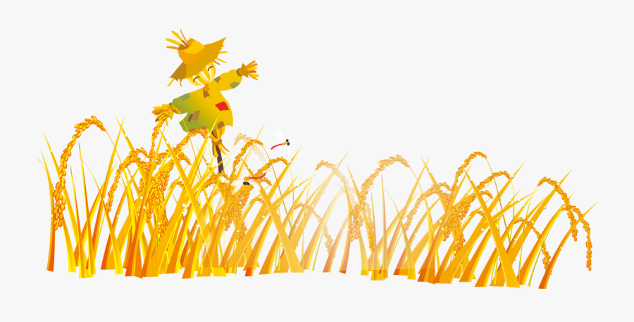 Graphic Design Cartoon Scarecrow - Đồng Lúa Hoạt Hình, Transparent Clipart