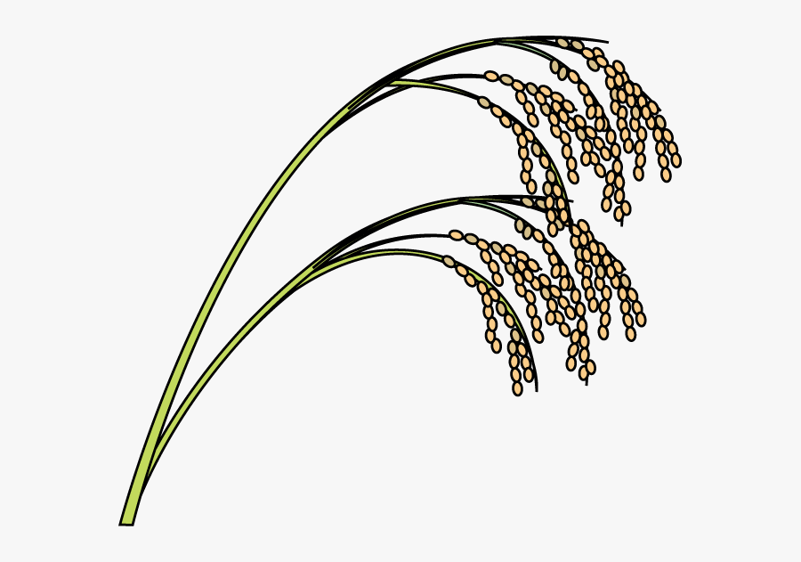 Paddy Black And White, Transparent Clipart