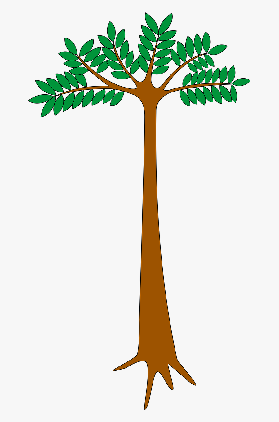 Hardwood Plant Tree Free Picture - Okume Tree Drawing, Transparent Clipart