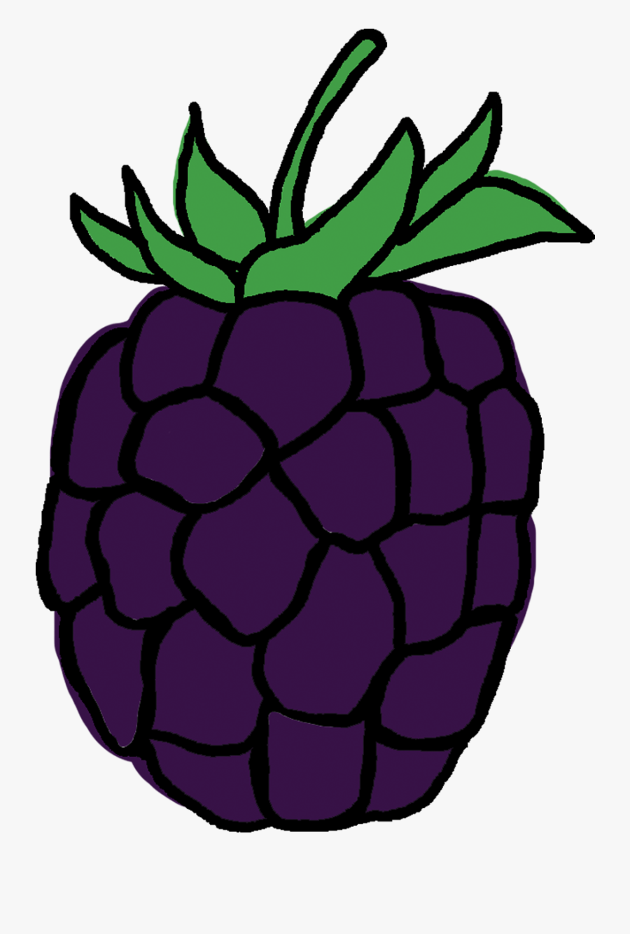 Seedless Fruit, Transparent Clipart