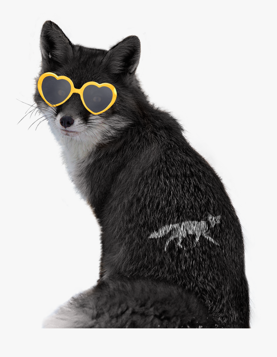Transparent Fox Head Png - Black Fox Transparent, Transparent Clipart