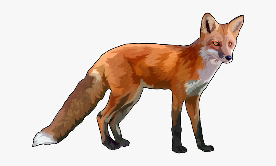 Fox Png - Red Fox With No Background, Transparent Clipart