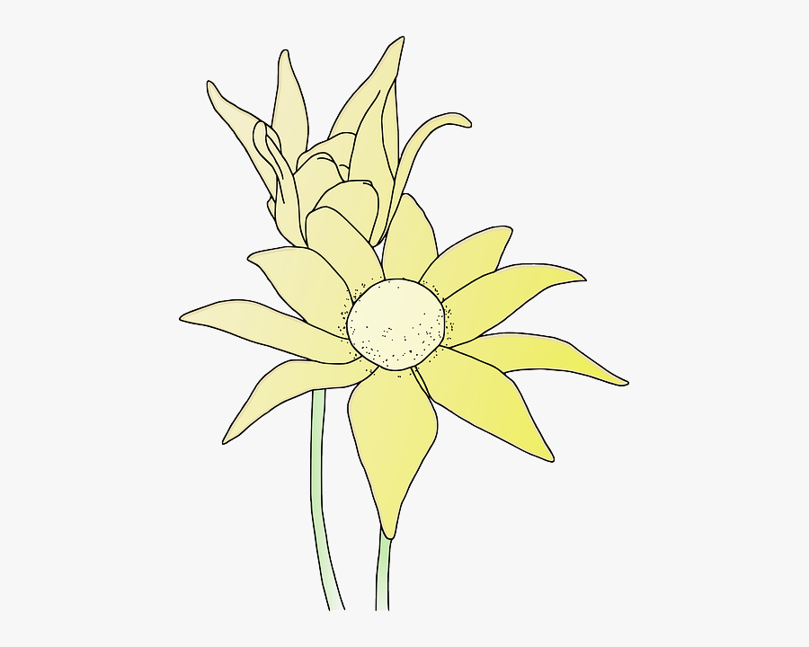 Drawing, Transparent Clipart